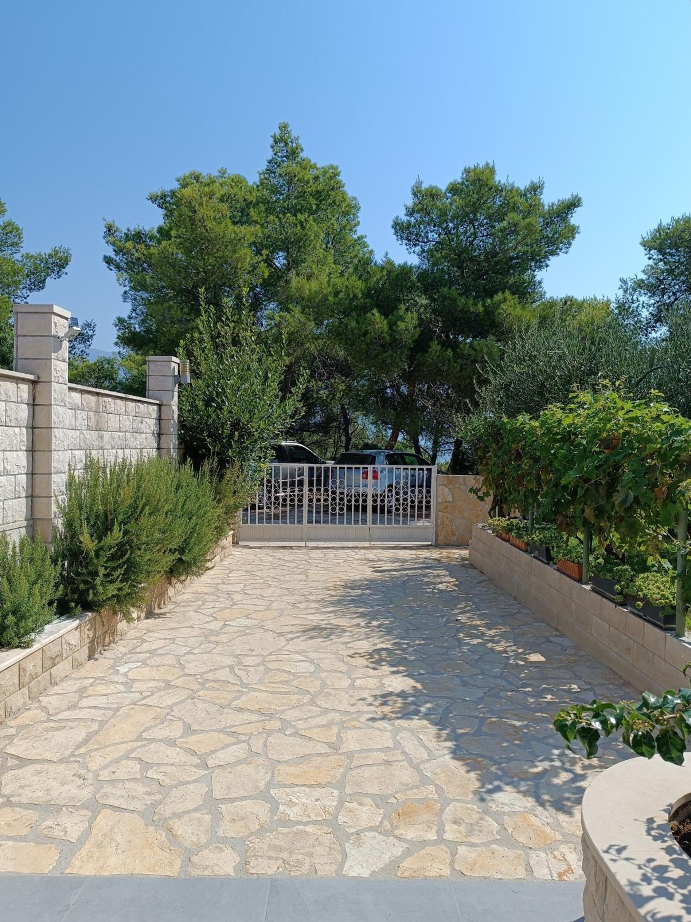 Anći view 2
