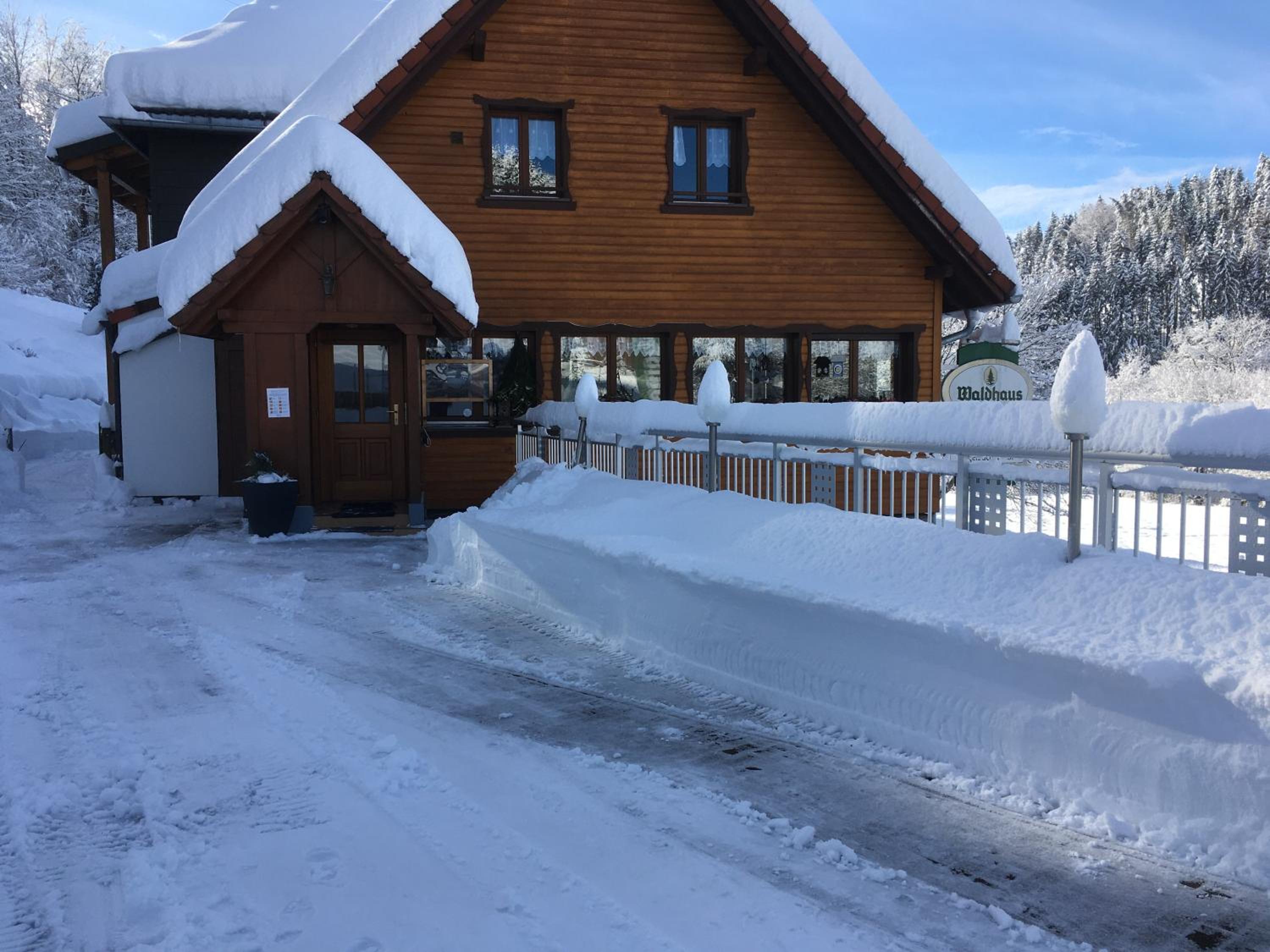 Vogelbacher Hof - Dachsberg im Südschwarzwald