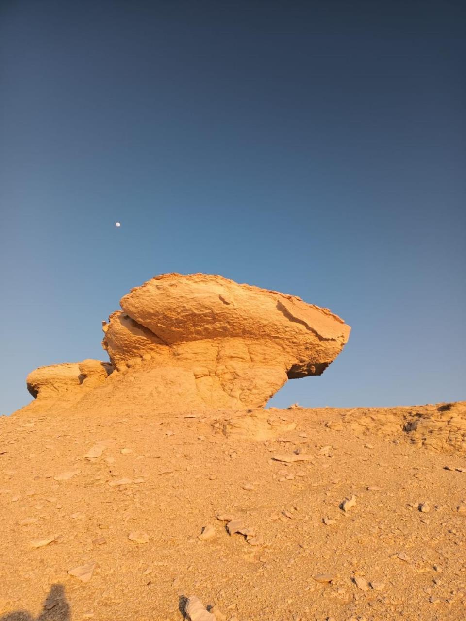 El Camel Hotel