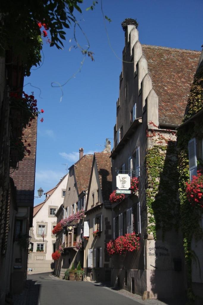Le Grenier Des Arômes Au Domaine Wittmann