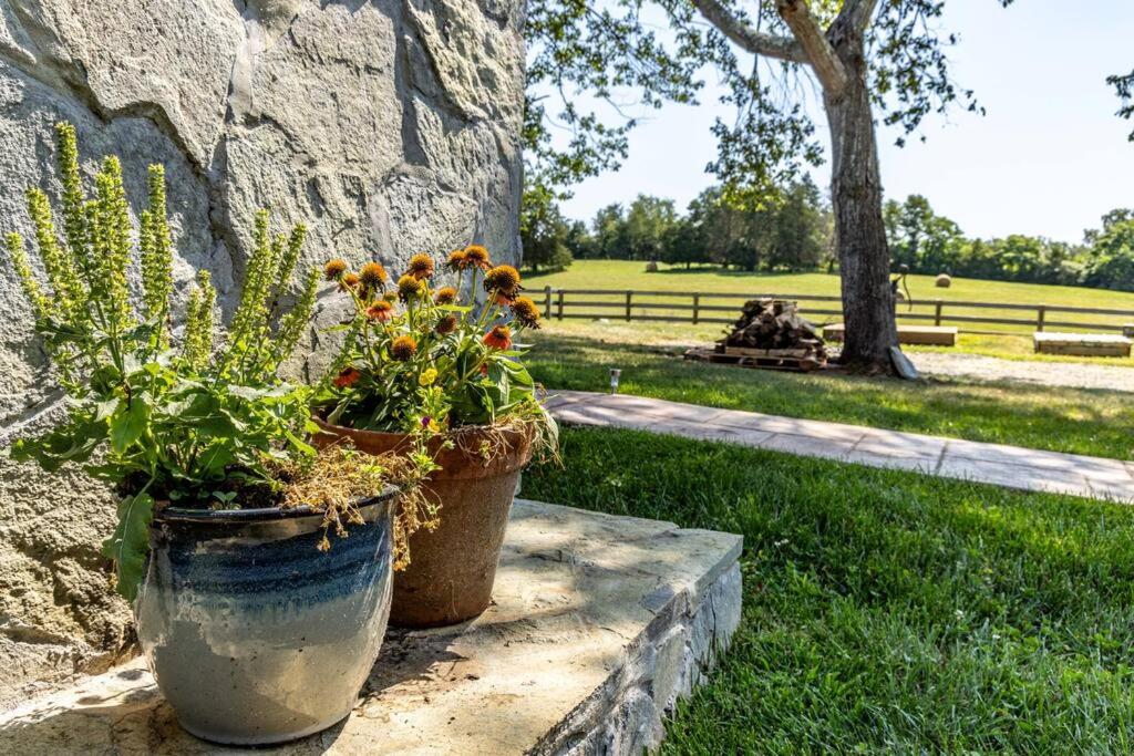 Farm living at it's best! view 2