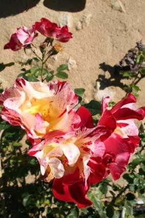 Photo 37