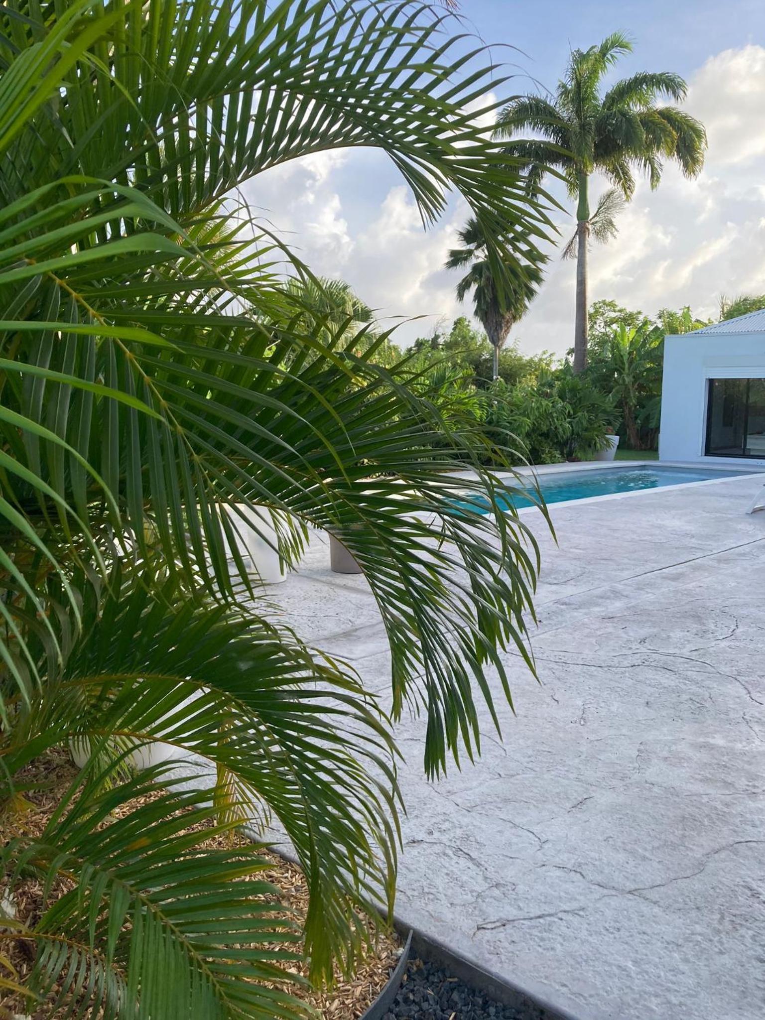 VILLA BUTTERFLY