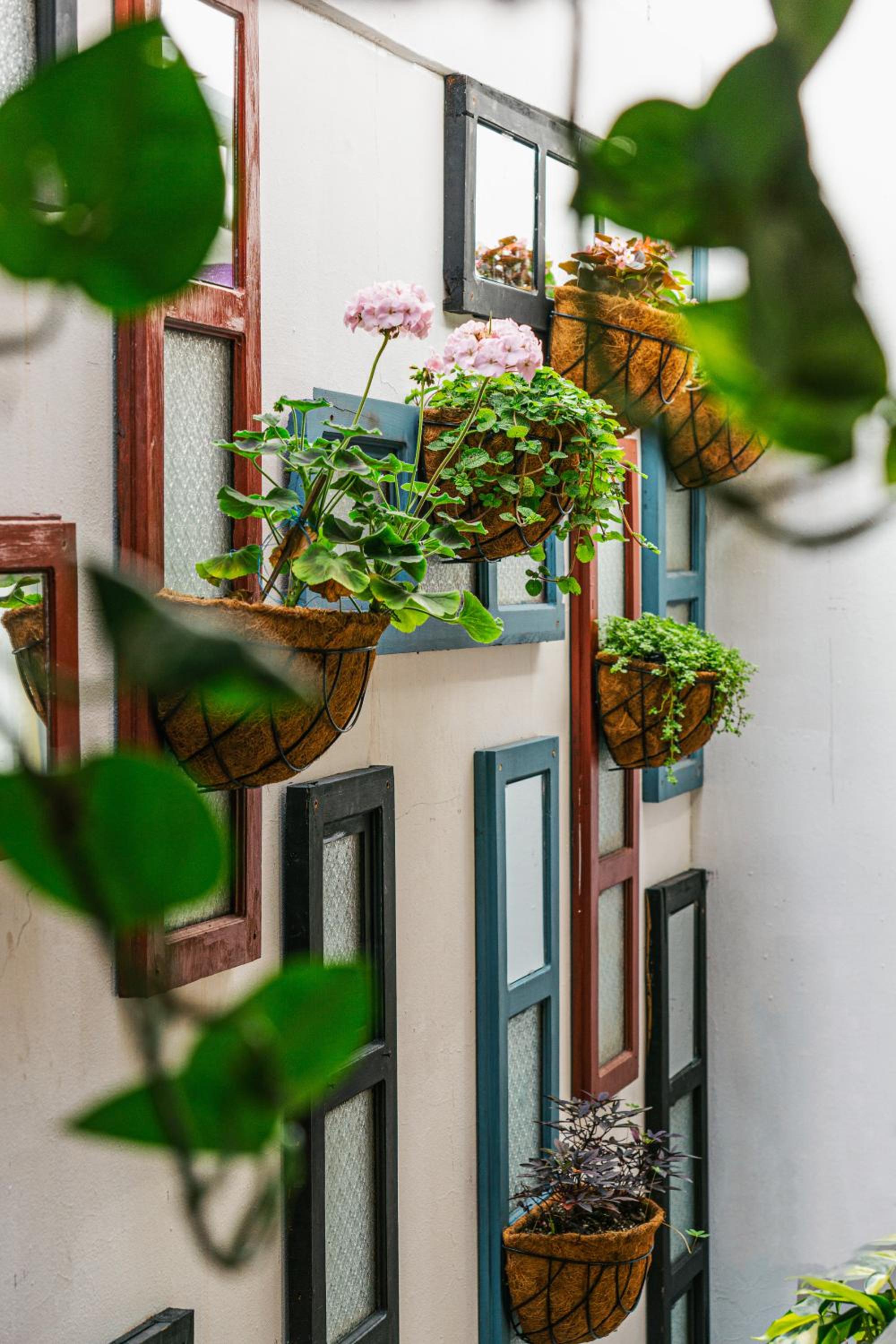 Casa Capirucho