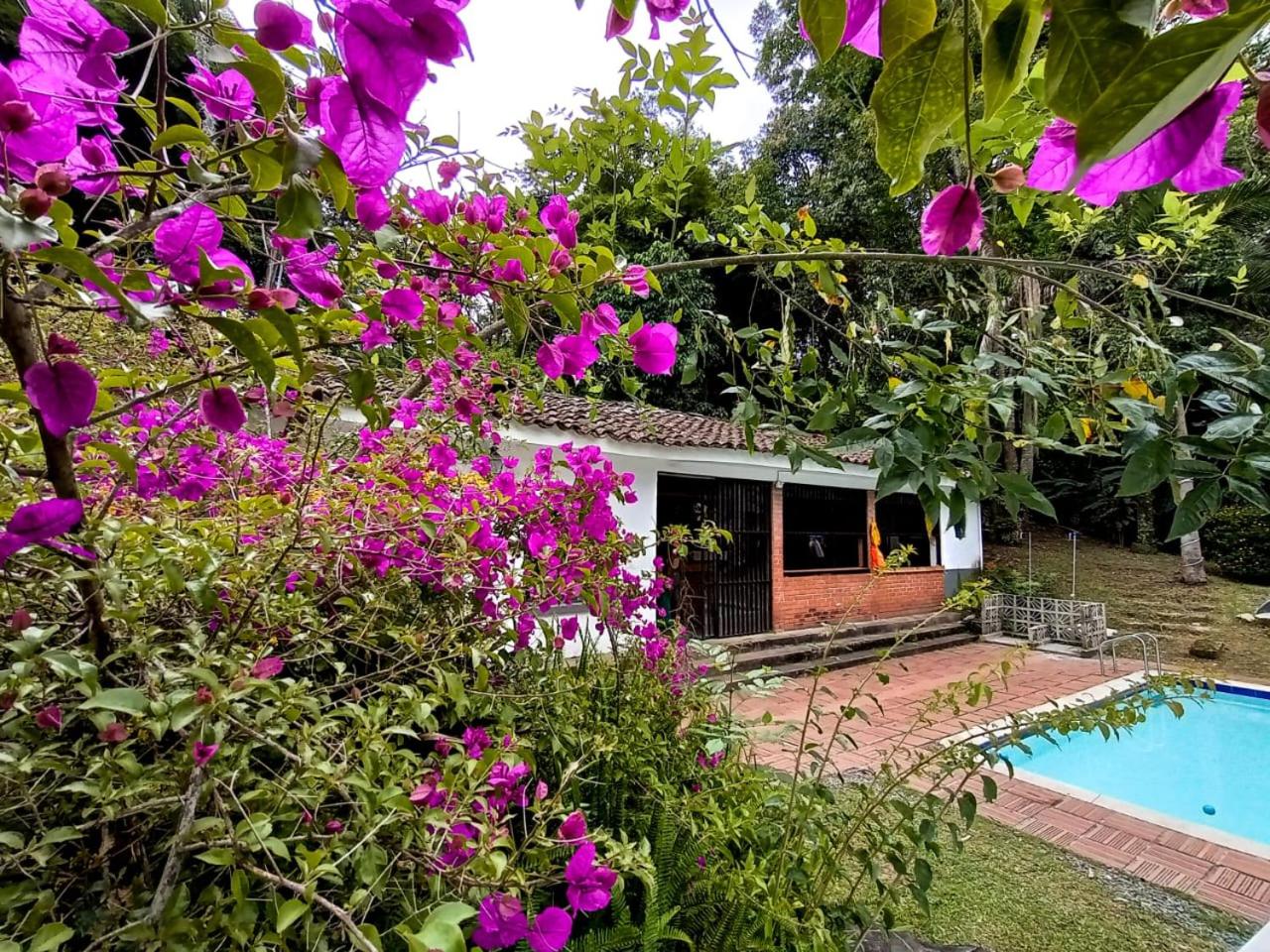 Don Fierro Hostal Campestre