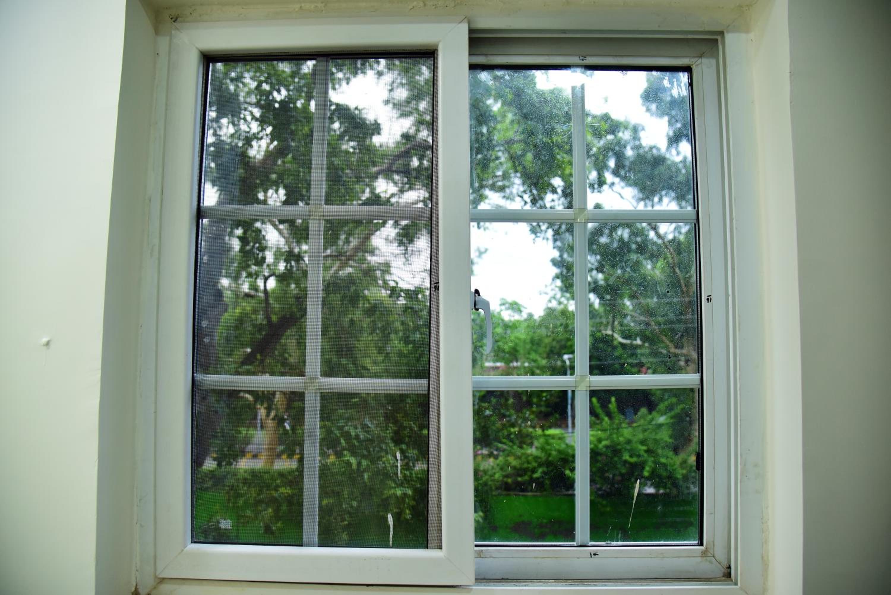 Photo 24