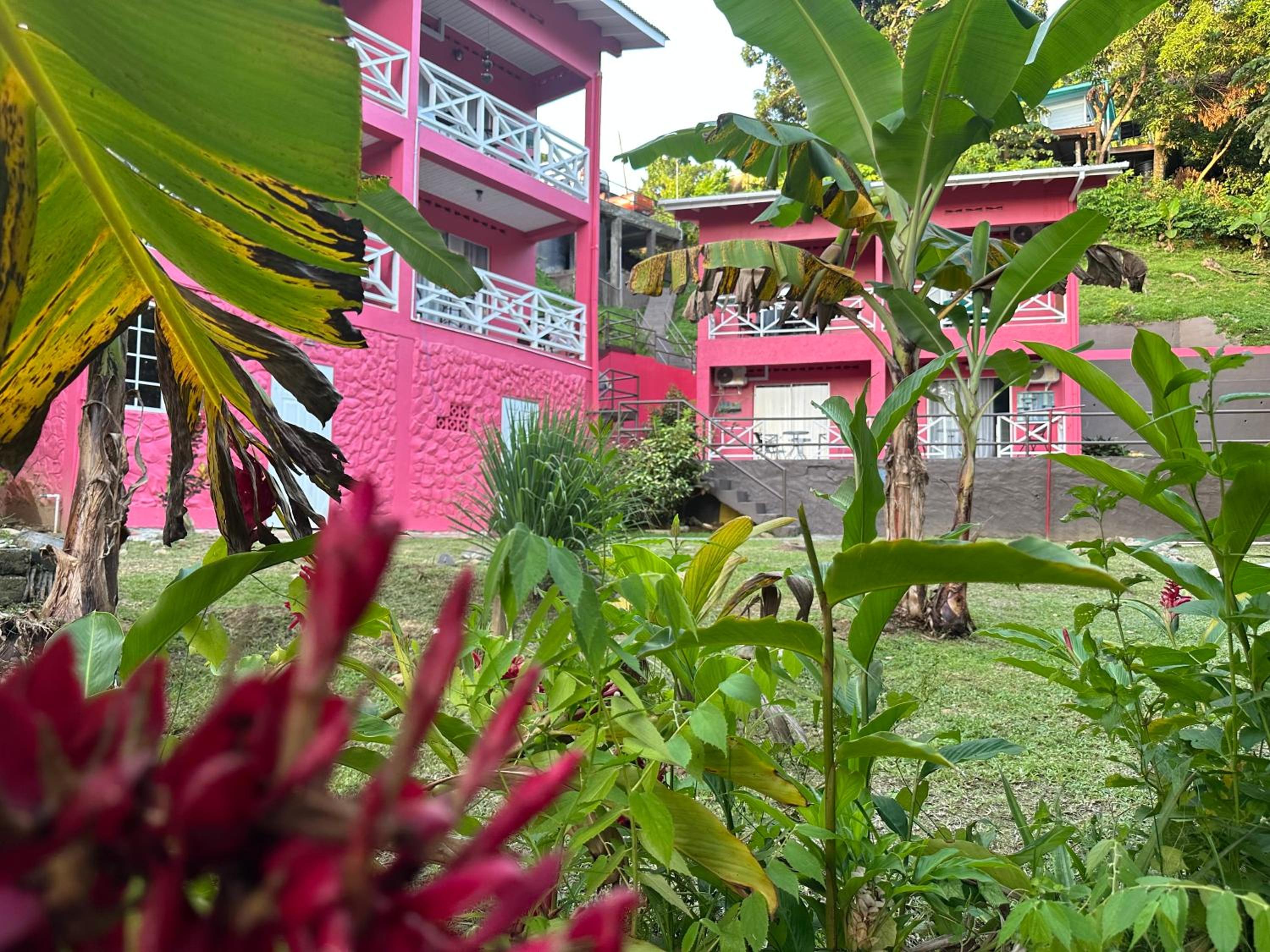 Guava Shores Castara