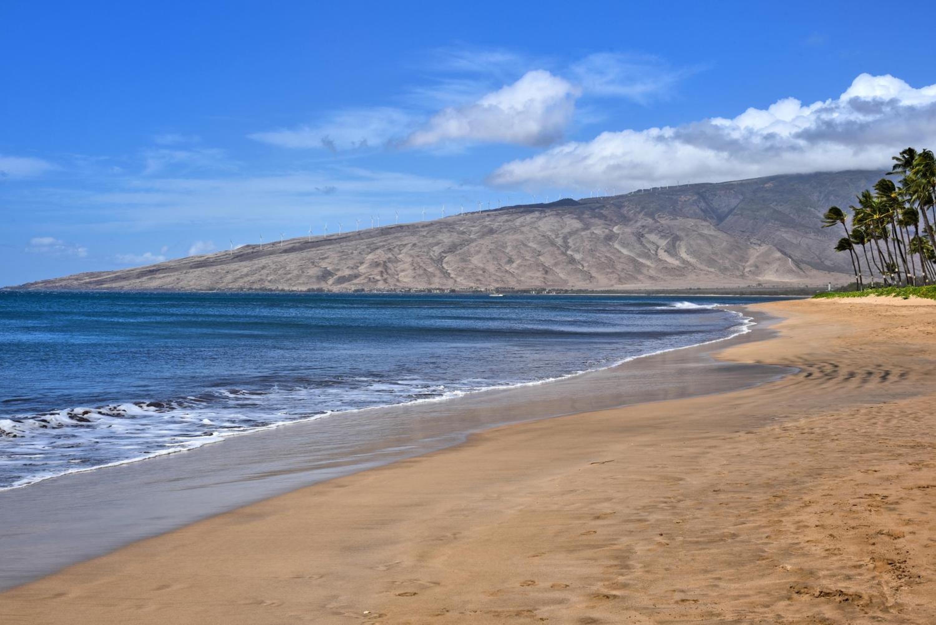 Nani Kai Hale 605 · NKH 605 Remodeled BeachFront w Pool AC Sandy