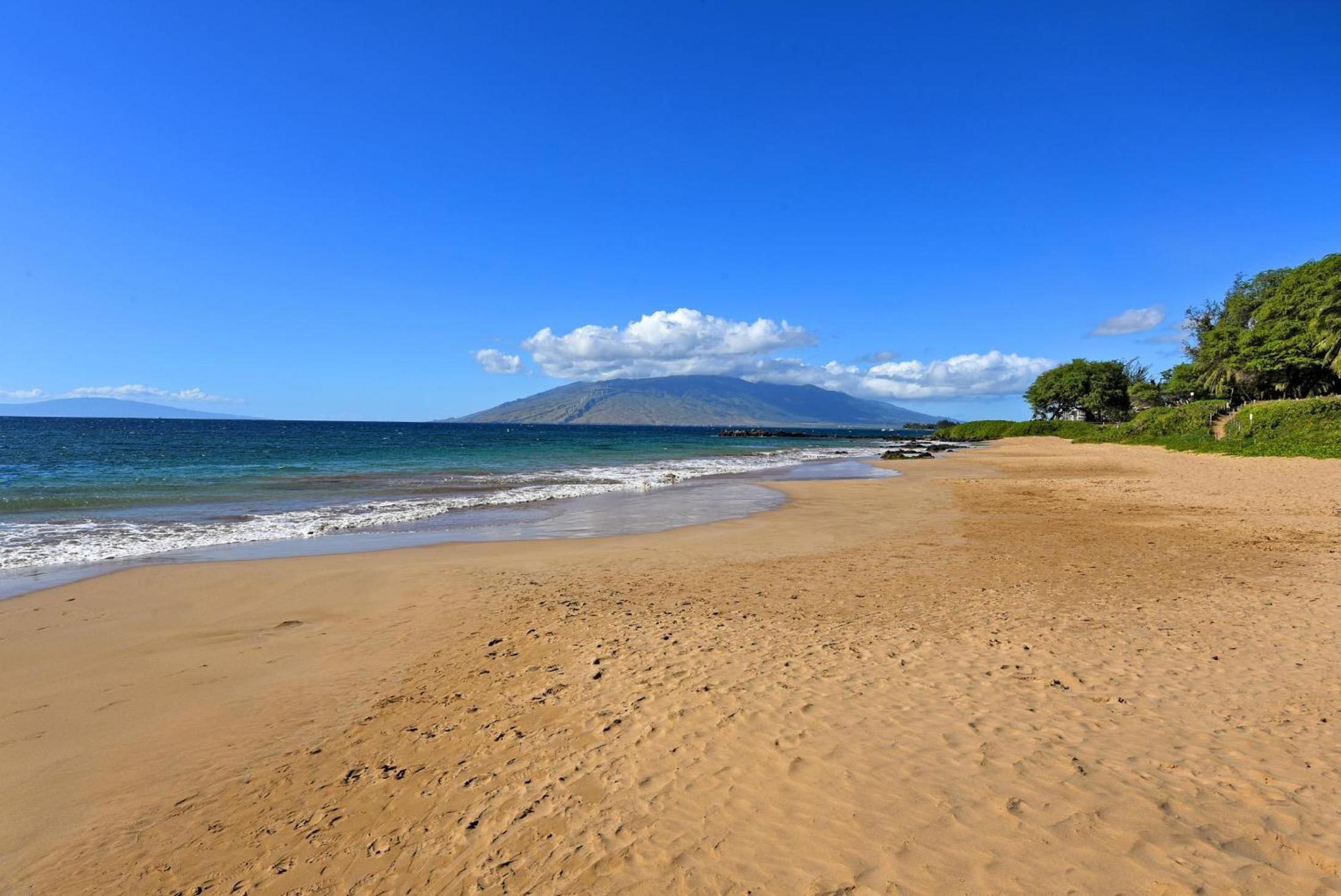 Kamaole Sands 1101 · KAS 1101 Updated Beachy Chic 2BD Across Bea