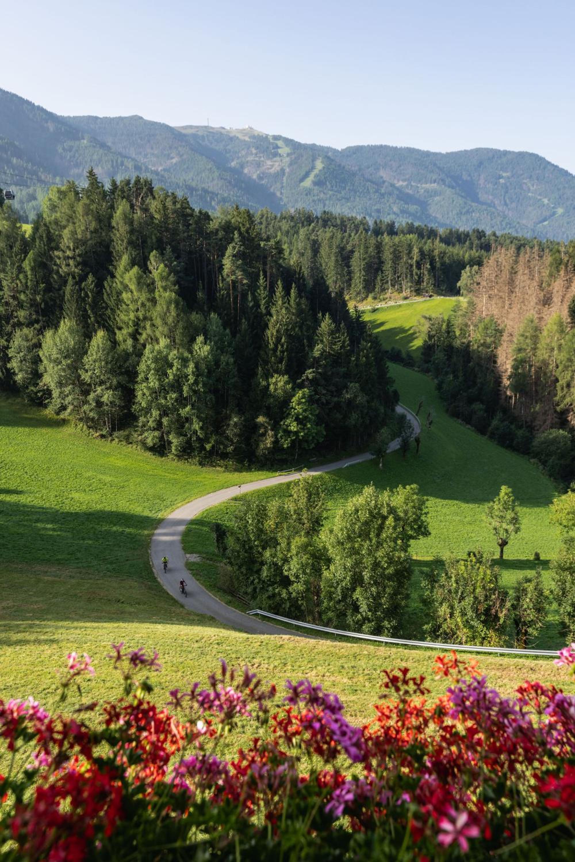 App Mittermairhof