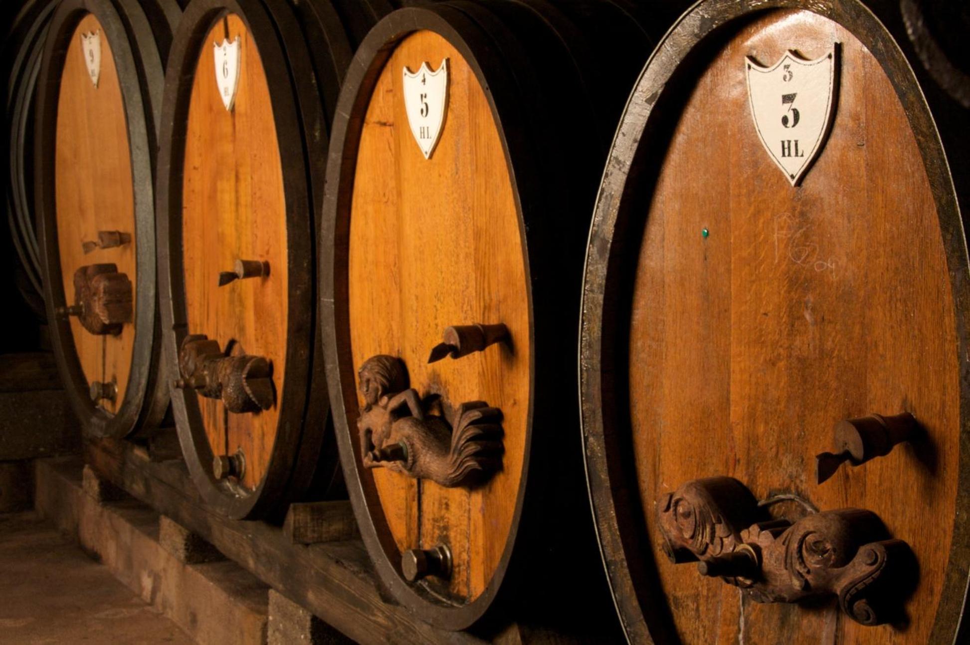 Le Grenier Des Arômes Au Domaine Wittmann