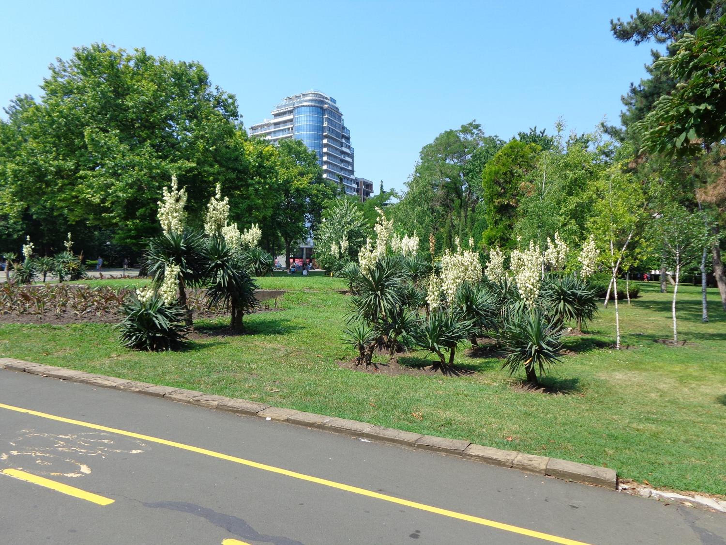 Photo 20