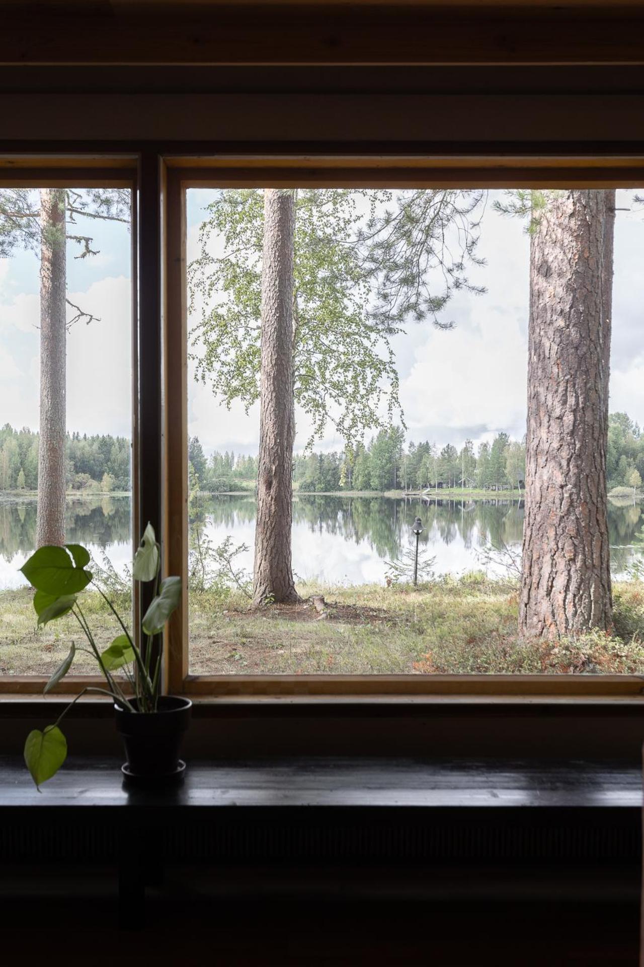 Hirsihuvila yksityisessä niemessä Petäjävedellä