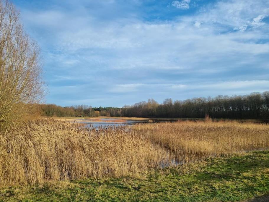 Luxe-Avontuur in een Romantische Cabin in het Bos