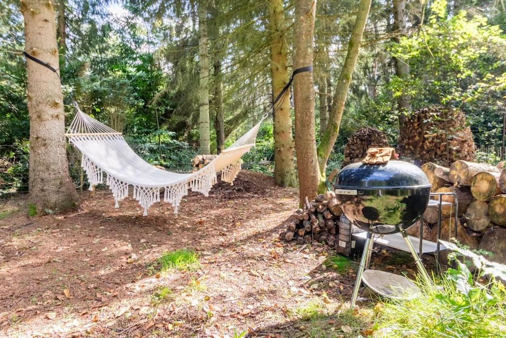Luxe-Avontuur in een Romantische Cabin in het Bos
