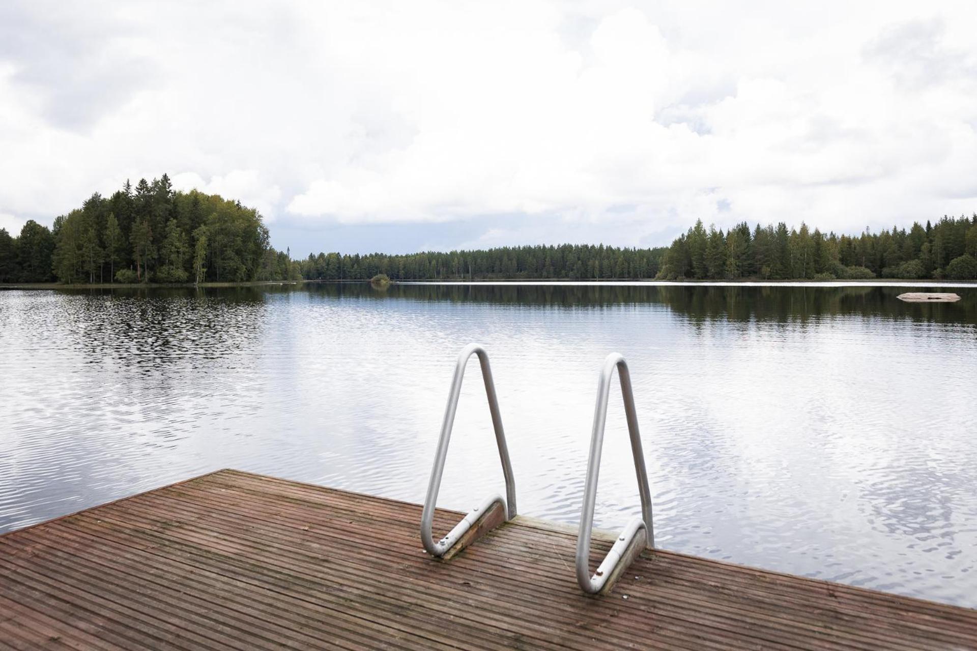 Hirsihuvila yksityisessä niemessä Petäjävedellä
