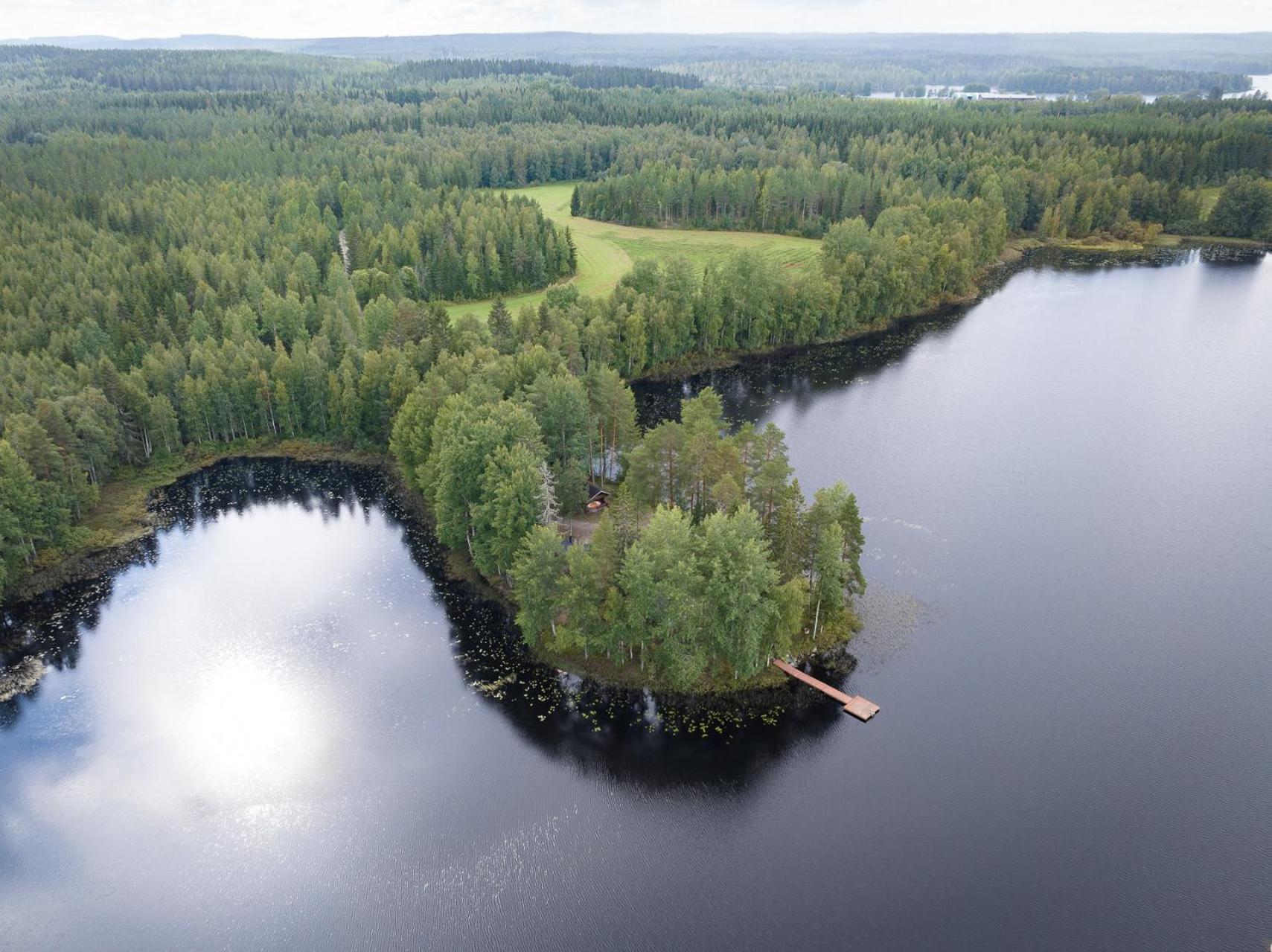 Hirsihuvila yksityisessä niemessä Petäjävedellä