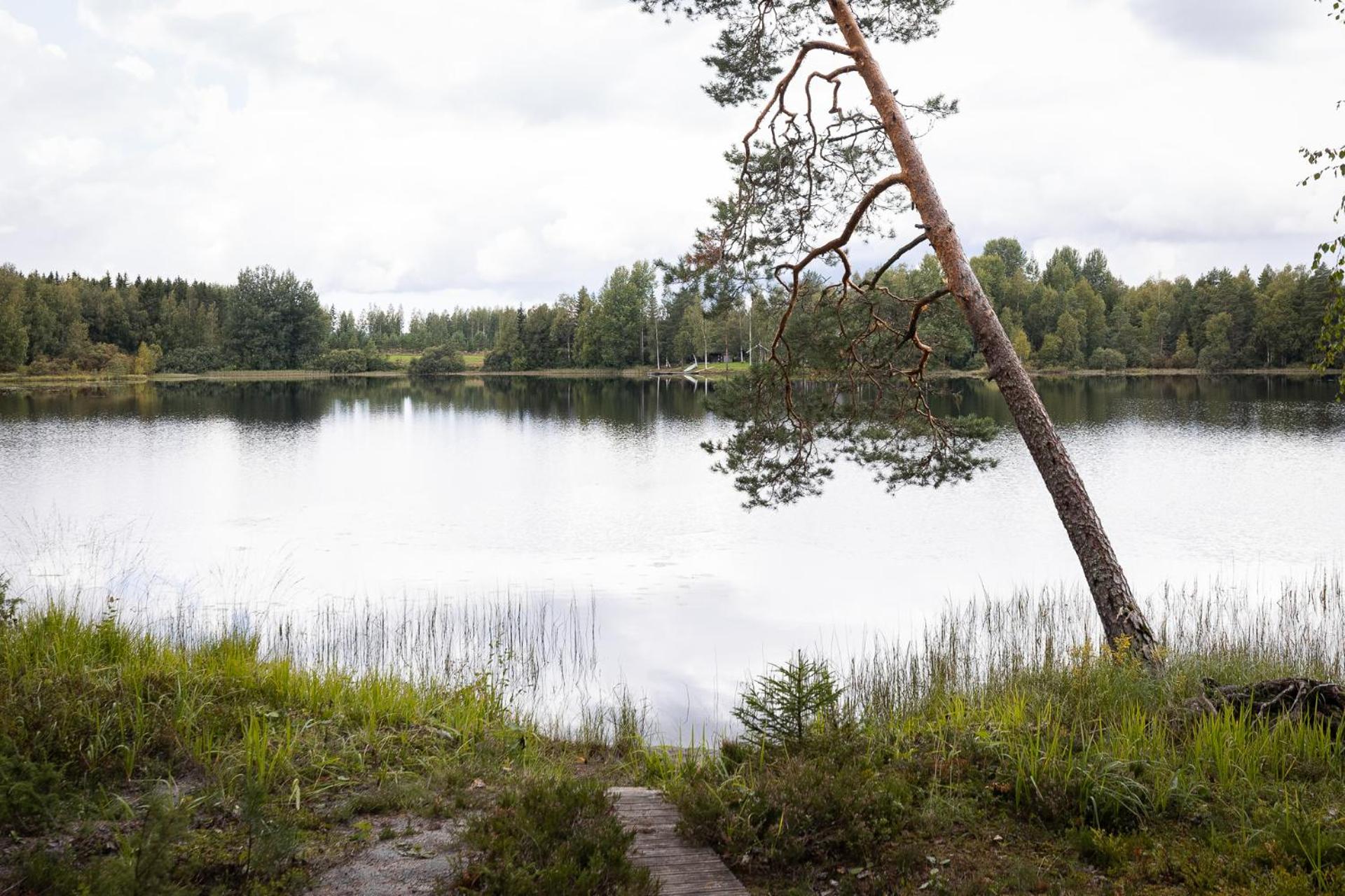 Hirsihuvila yksityisessä niemessä Petäjävedellä