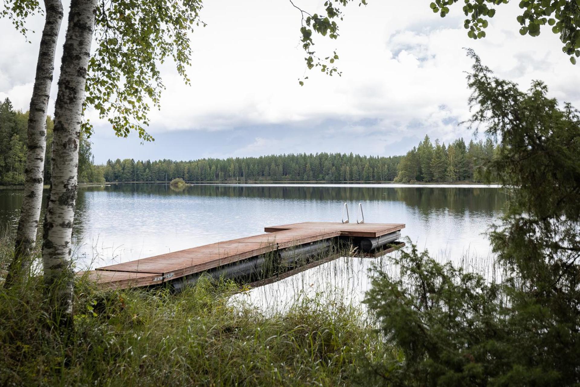 Hirsihuvila yksityisessä niemessä Petäjävedellä
