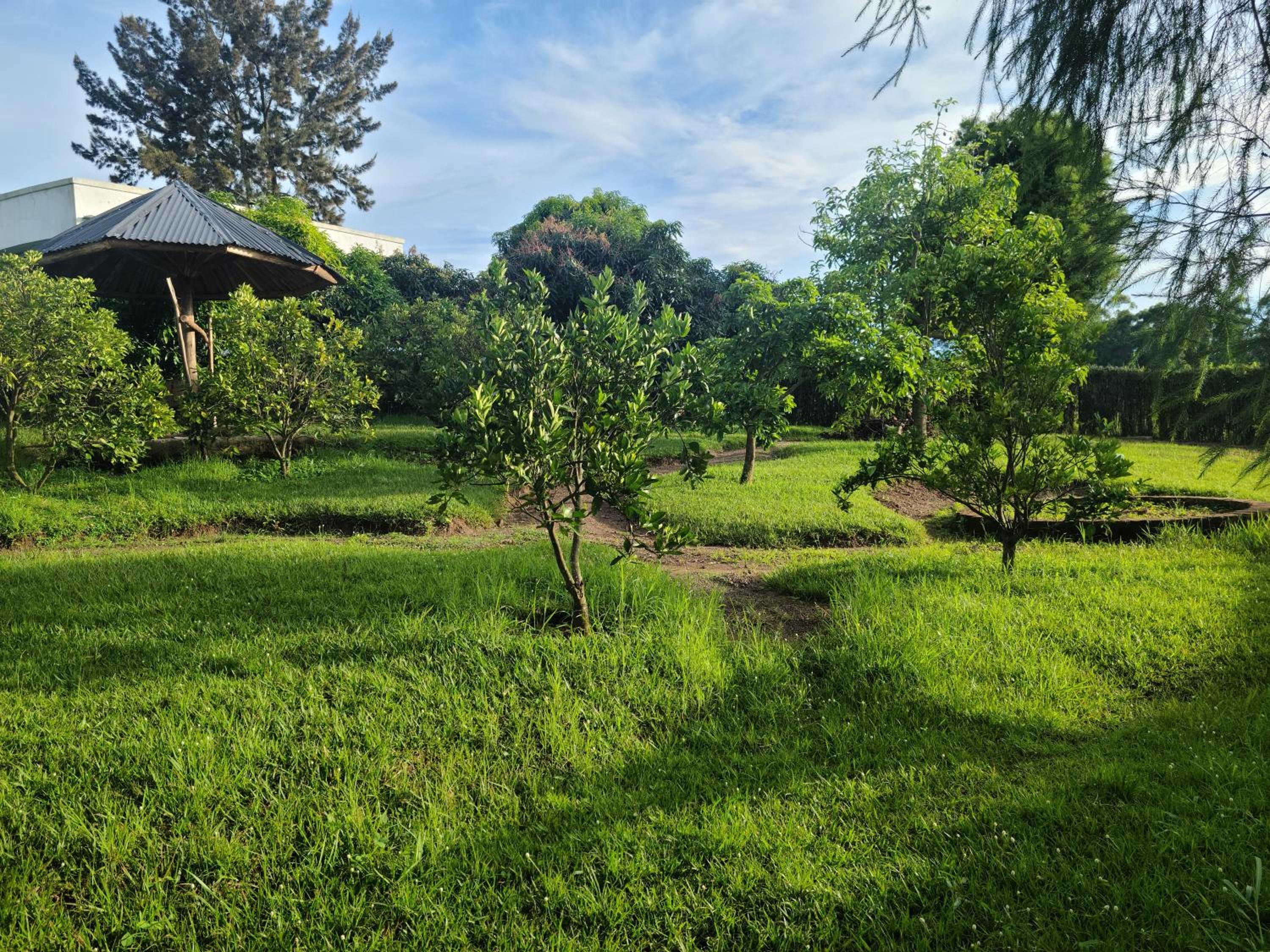 Orchard Home Homestay