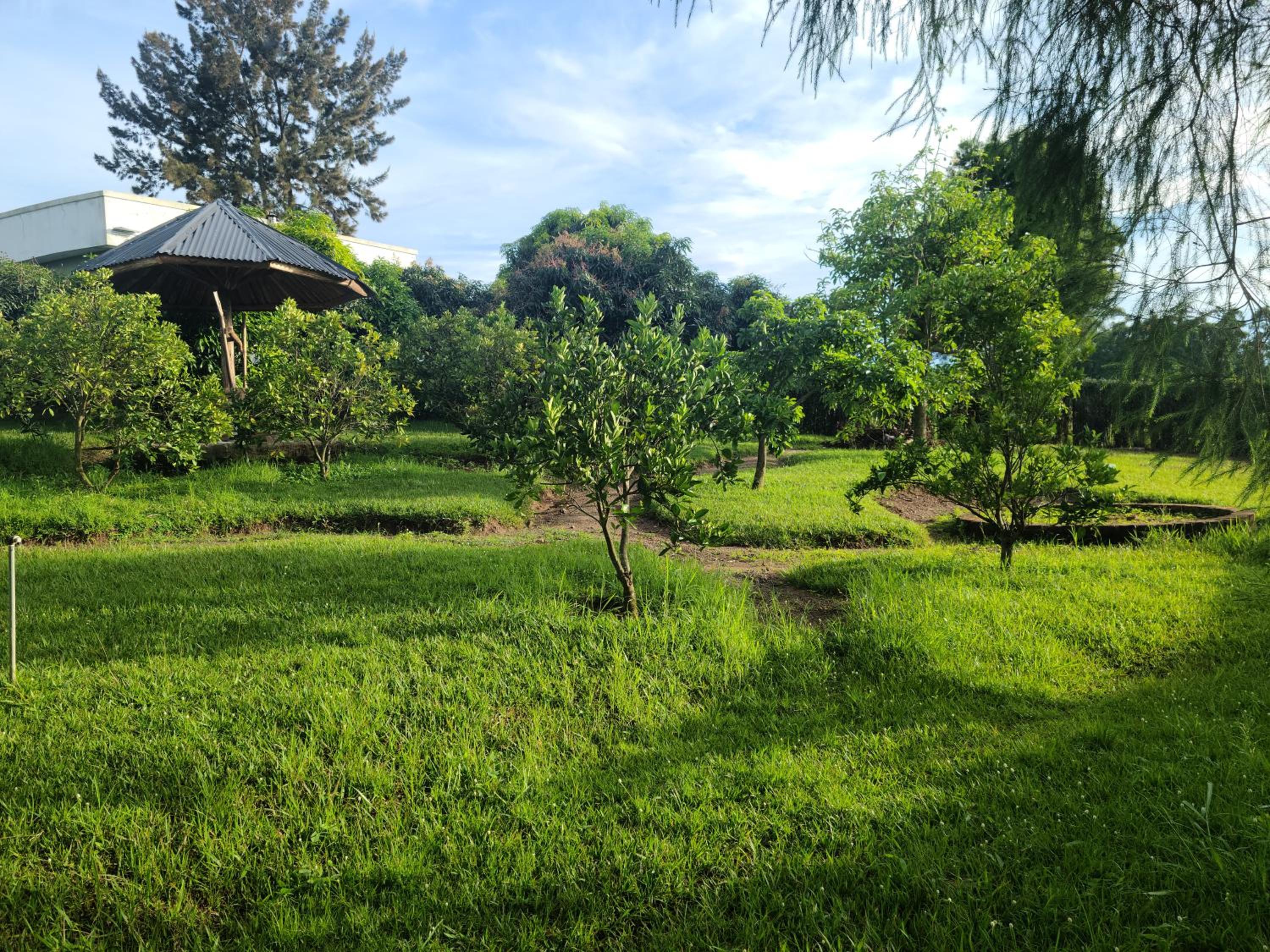 Orchard Home Homestay