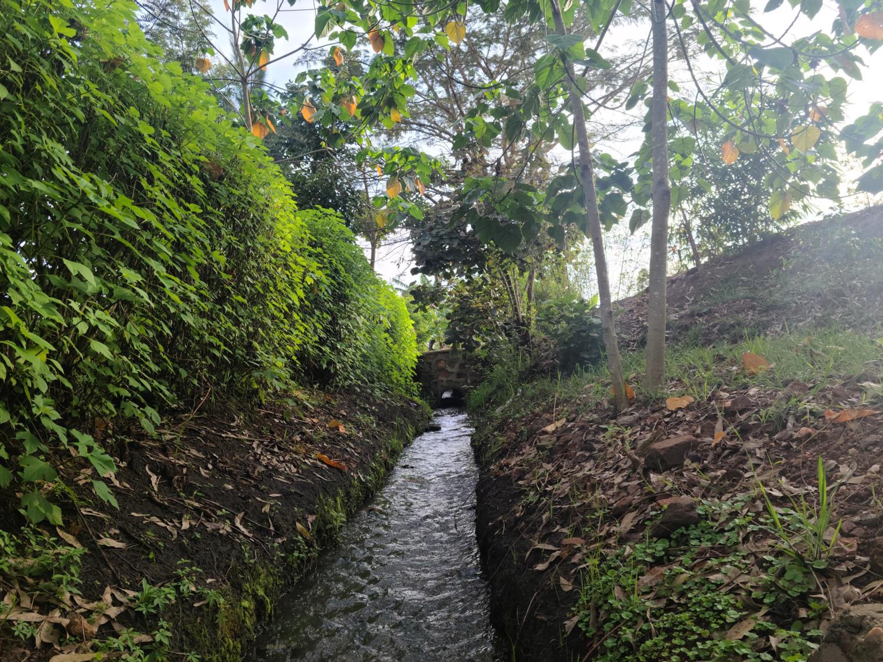 Orchard Home Homestay