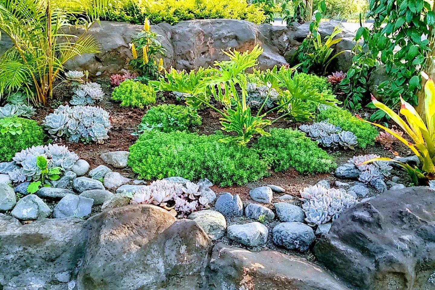 PEACELILYGARDEN