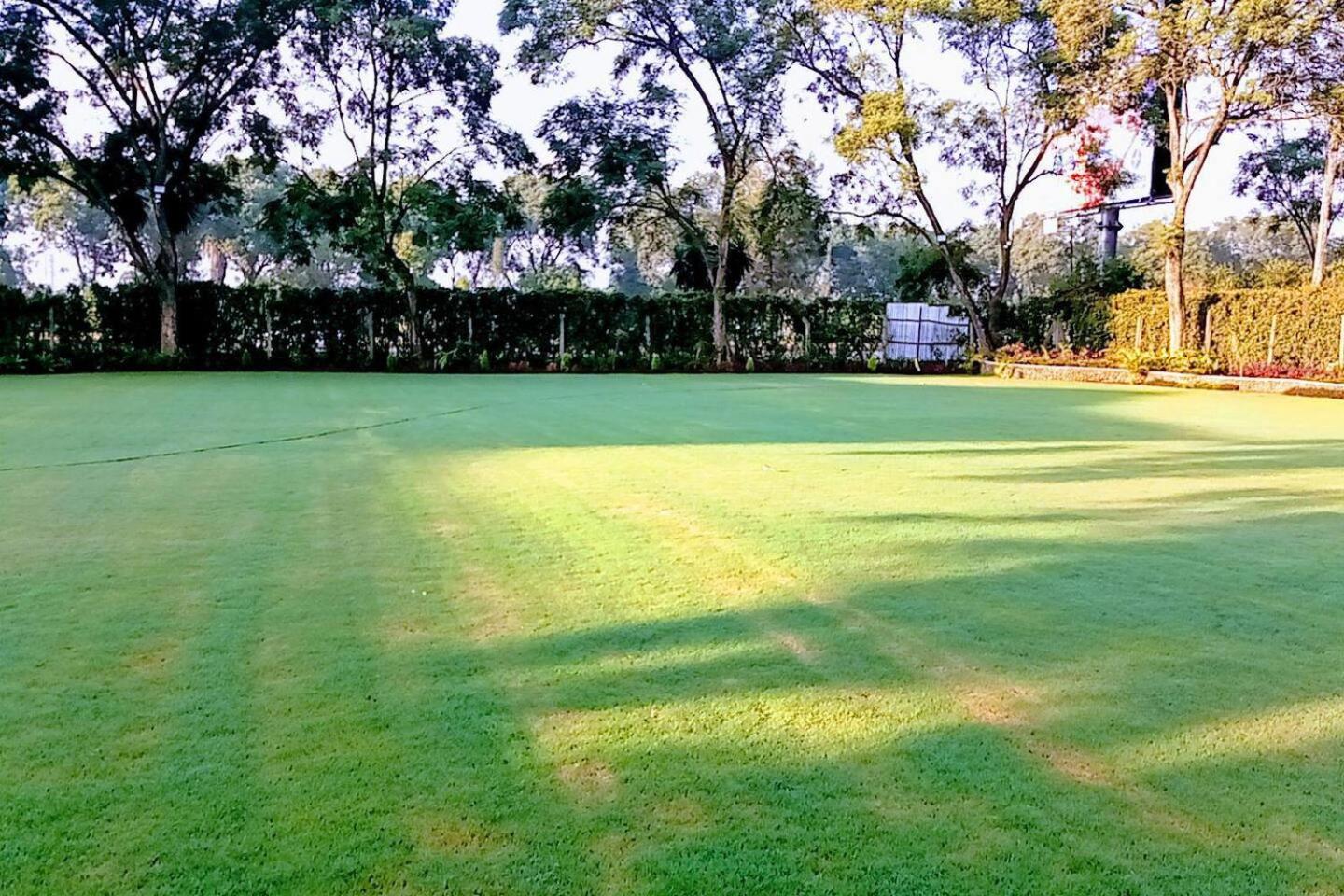 PEACELILYGARDEN