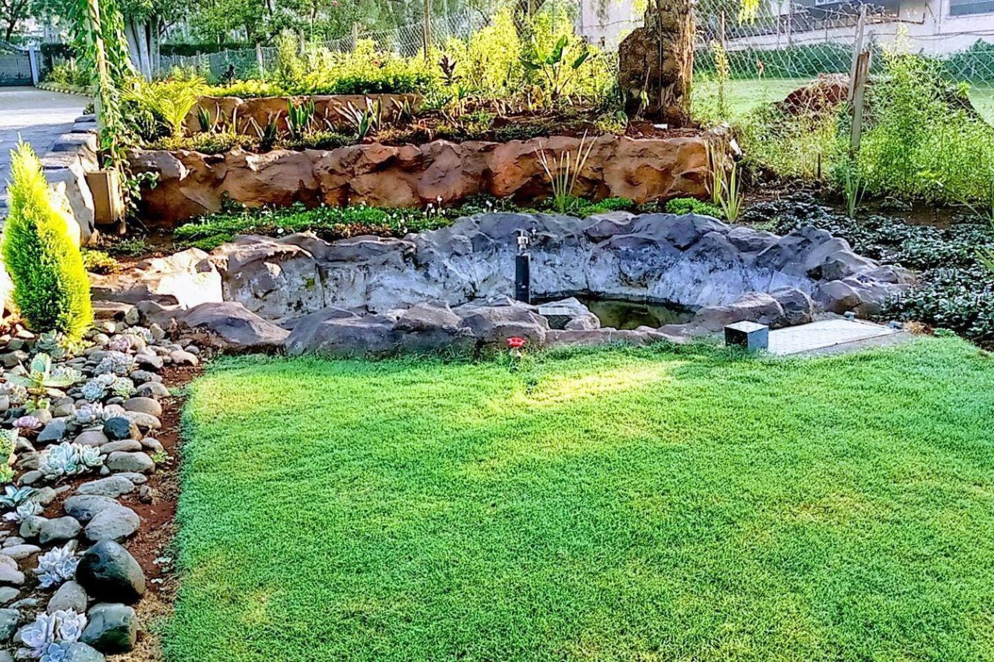 PEACELILYGARDEN