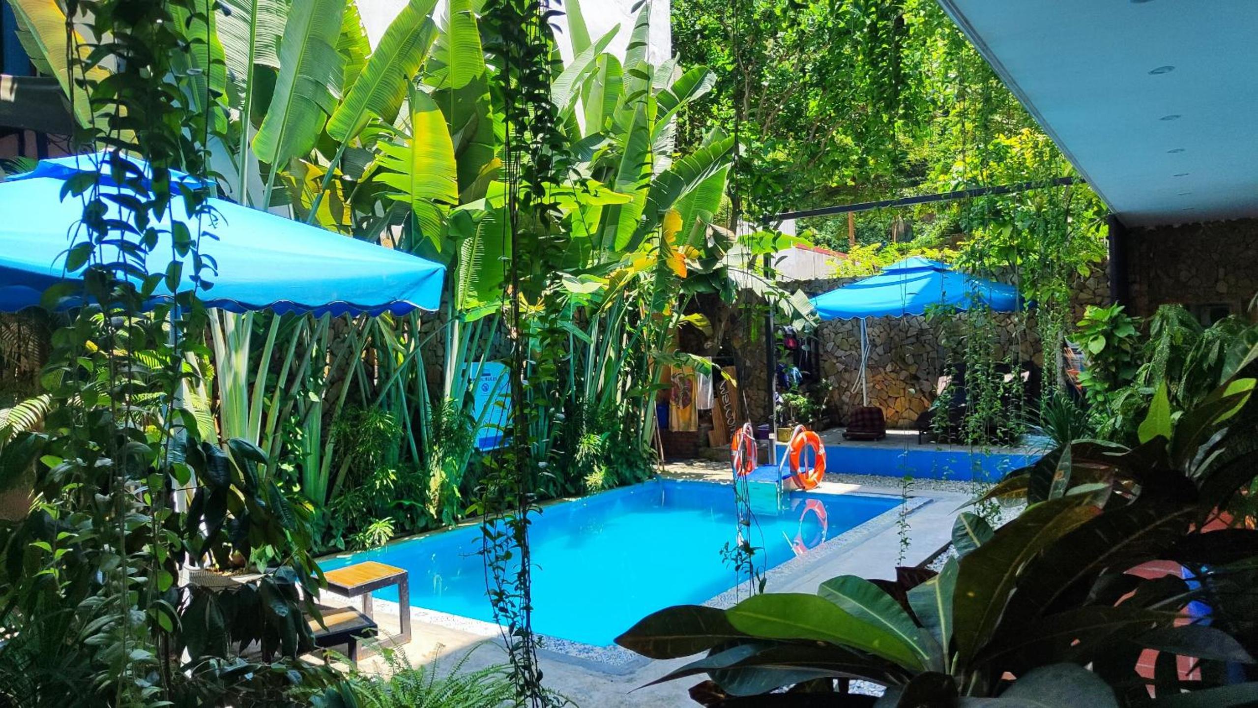 SECRET GARDEN Hostel - WANDERNEST Cat Ba view 3