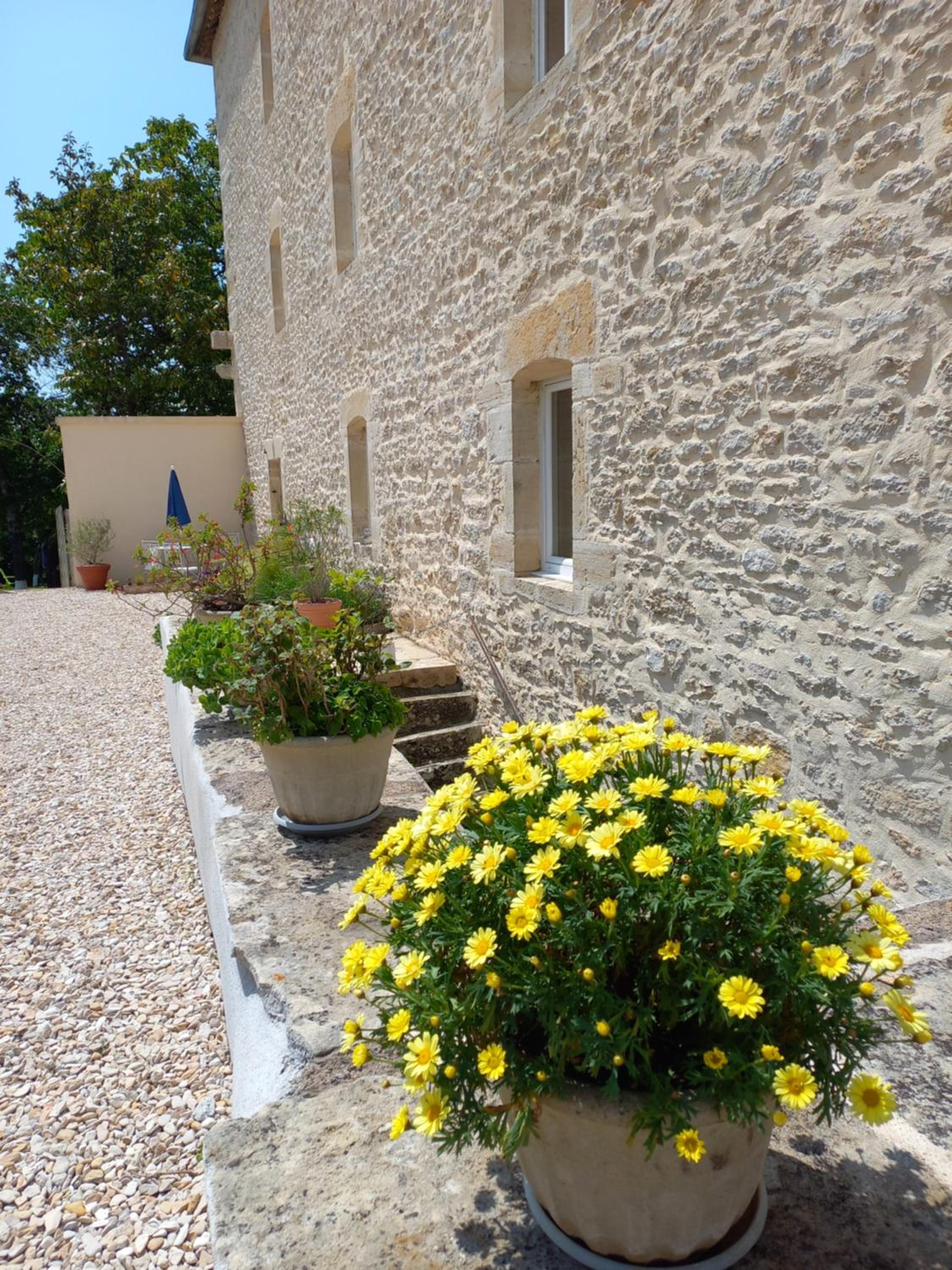 Chambres d'Hotes Le Moulin a Epices - Property Image 39