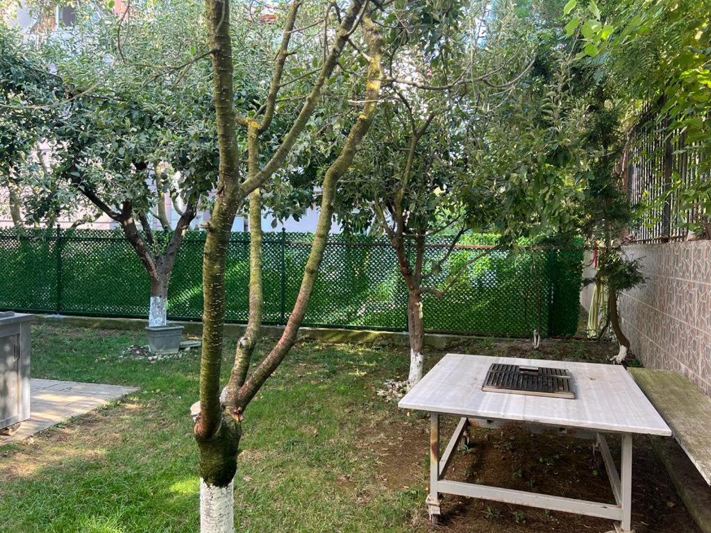 Villa Moon