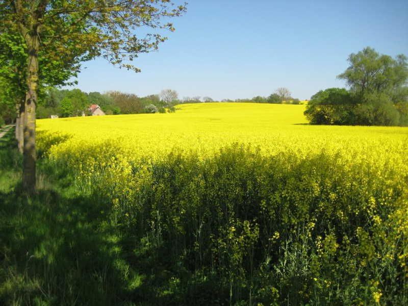Ferienwohnungen