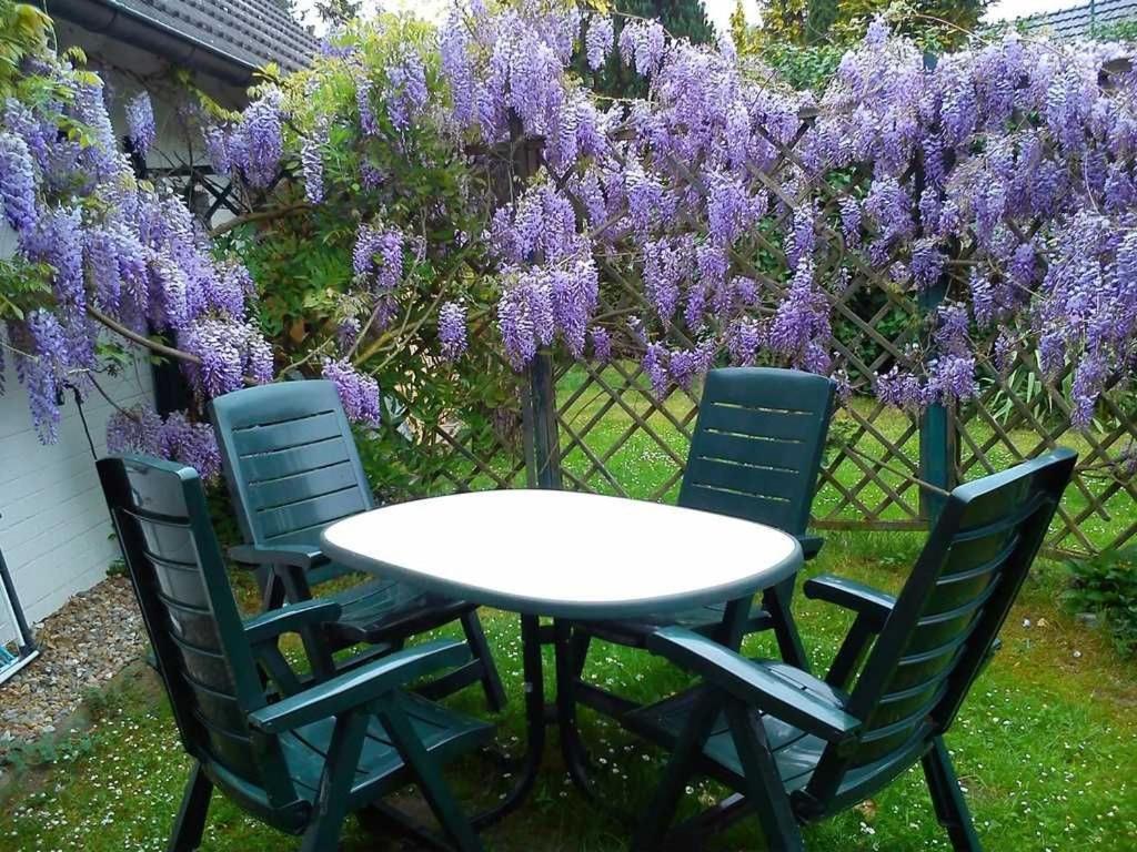Ferienwohnungen