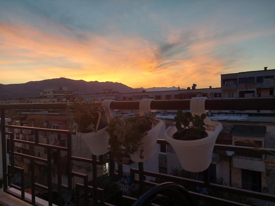 The Dekori Flat photo 4