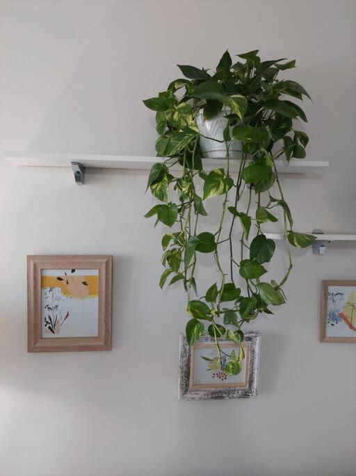 The Dekori Flat photo 5