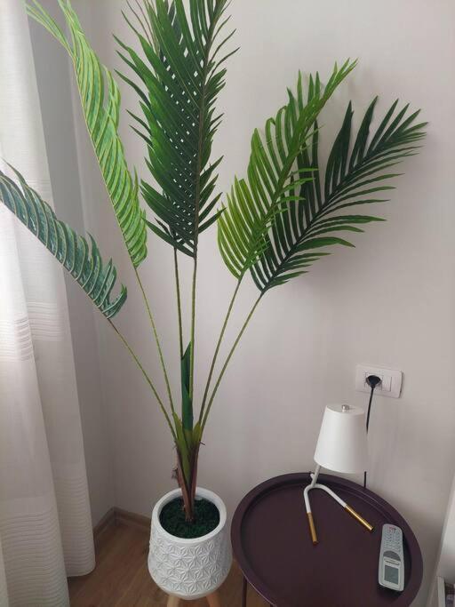 The Dekori Flat