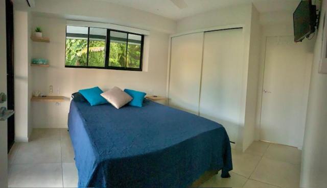 Whitsunday Dreams