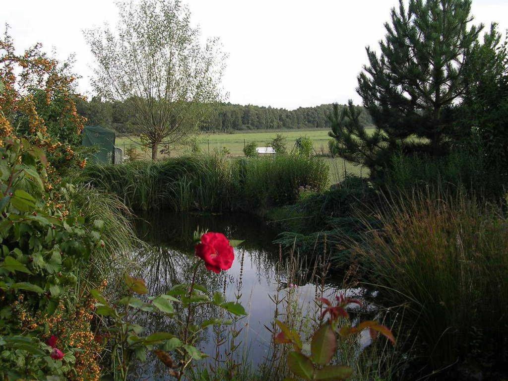 Ferienwohnungen