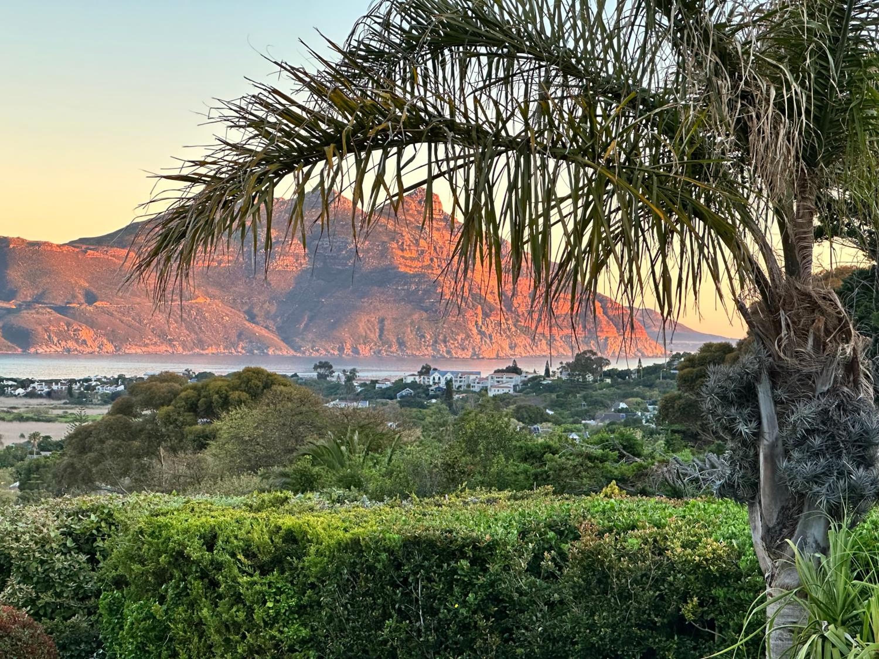 The Palm Hout Bay view 2