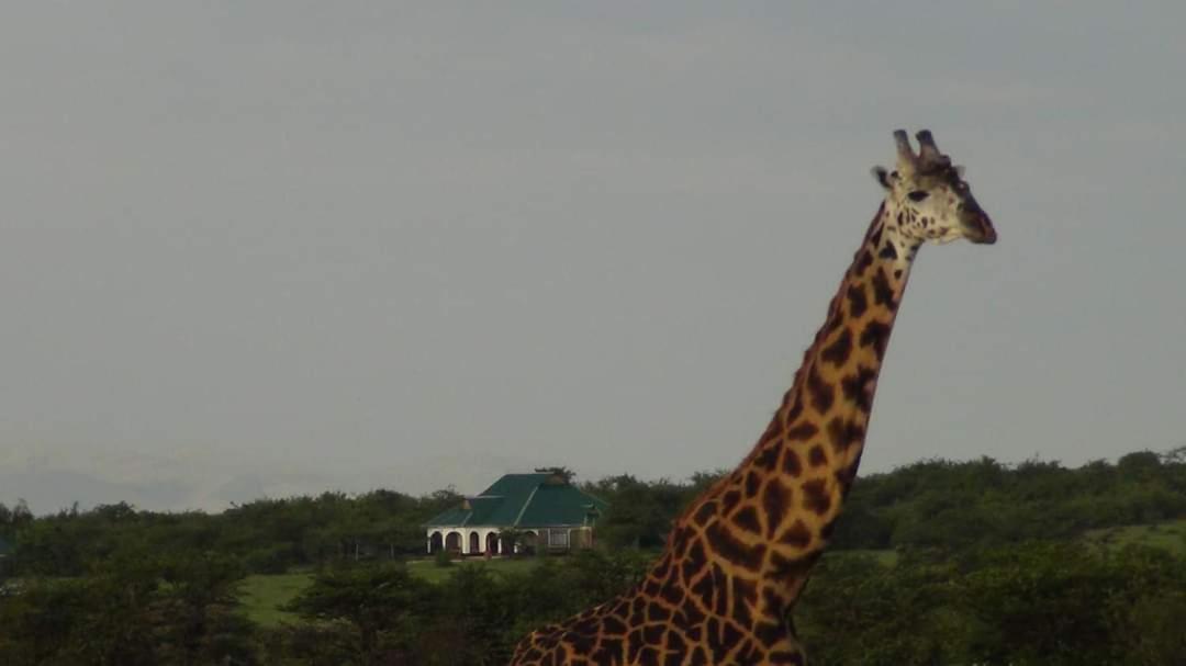 Narasha Homestay - Maasai Mara view 4