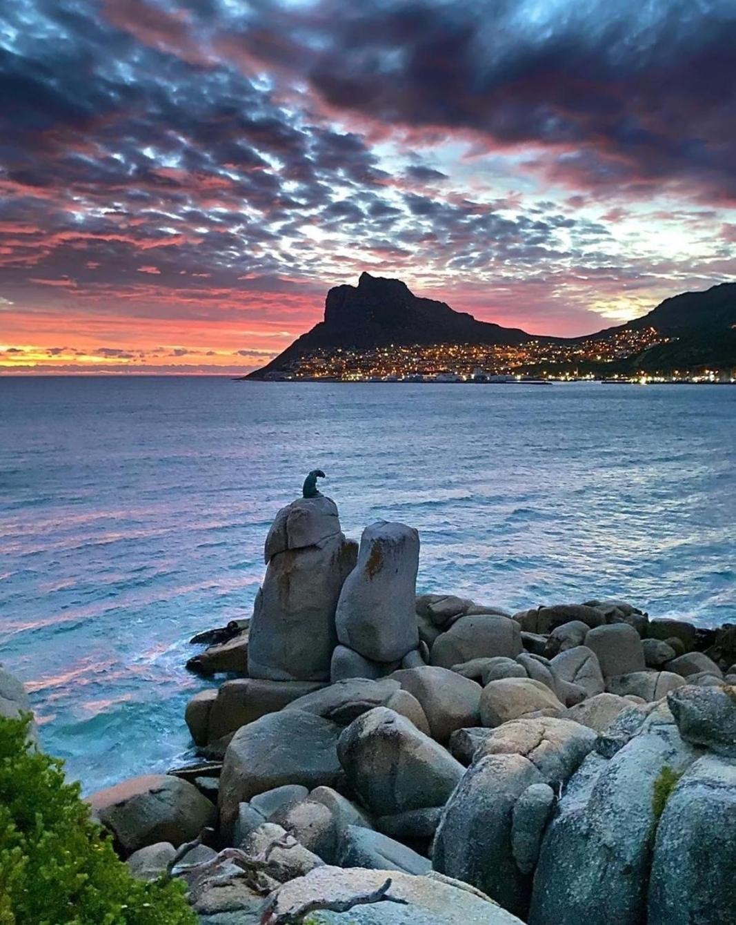 The Palm Hout Bay view 4