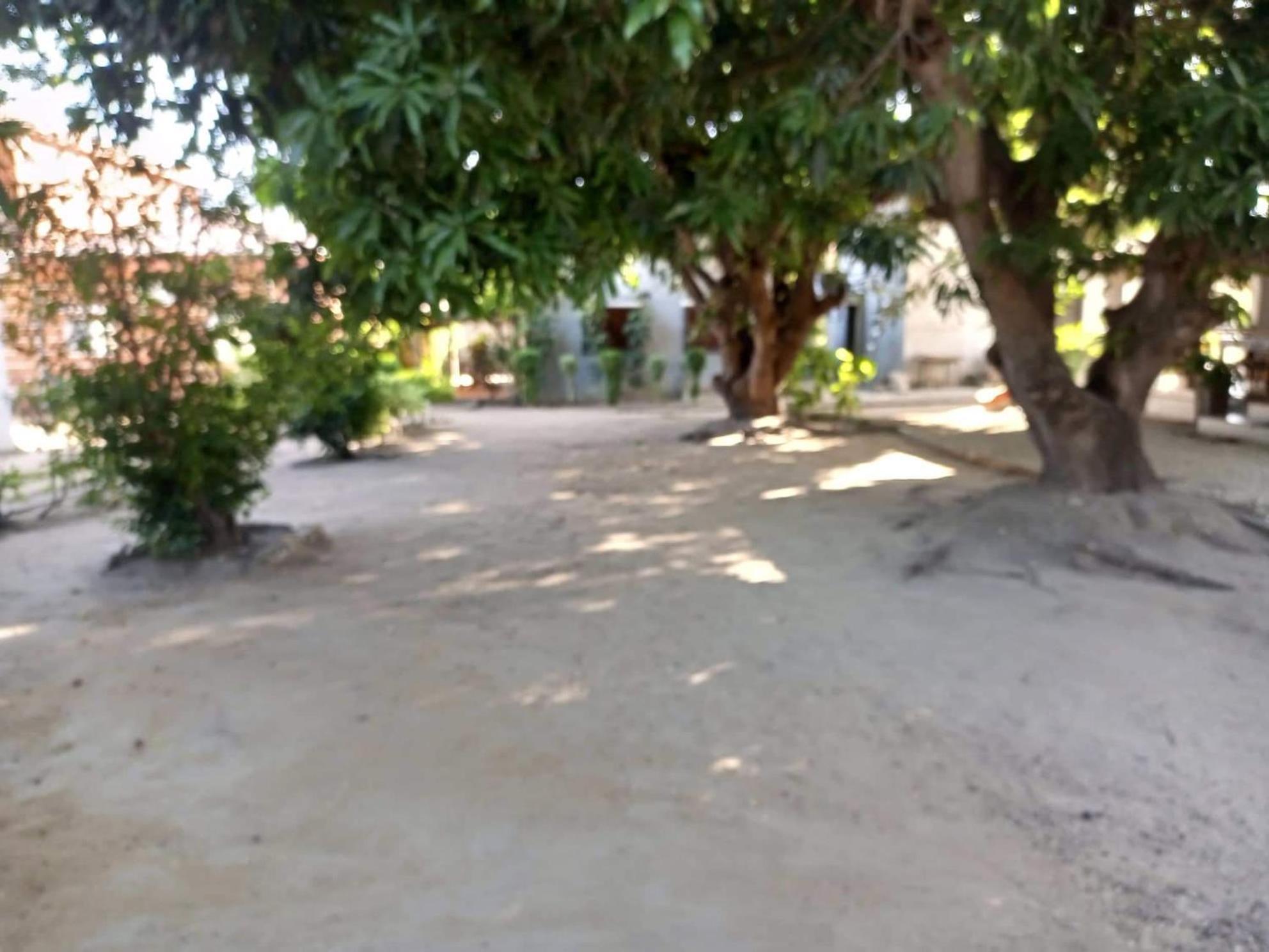 Photo 26