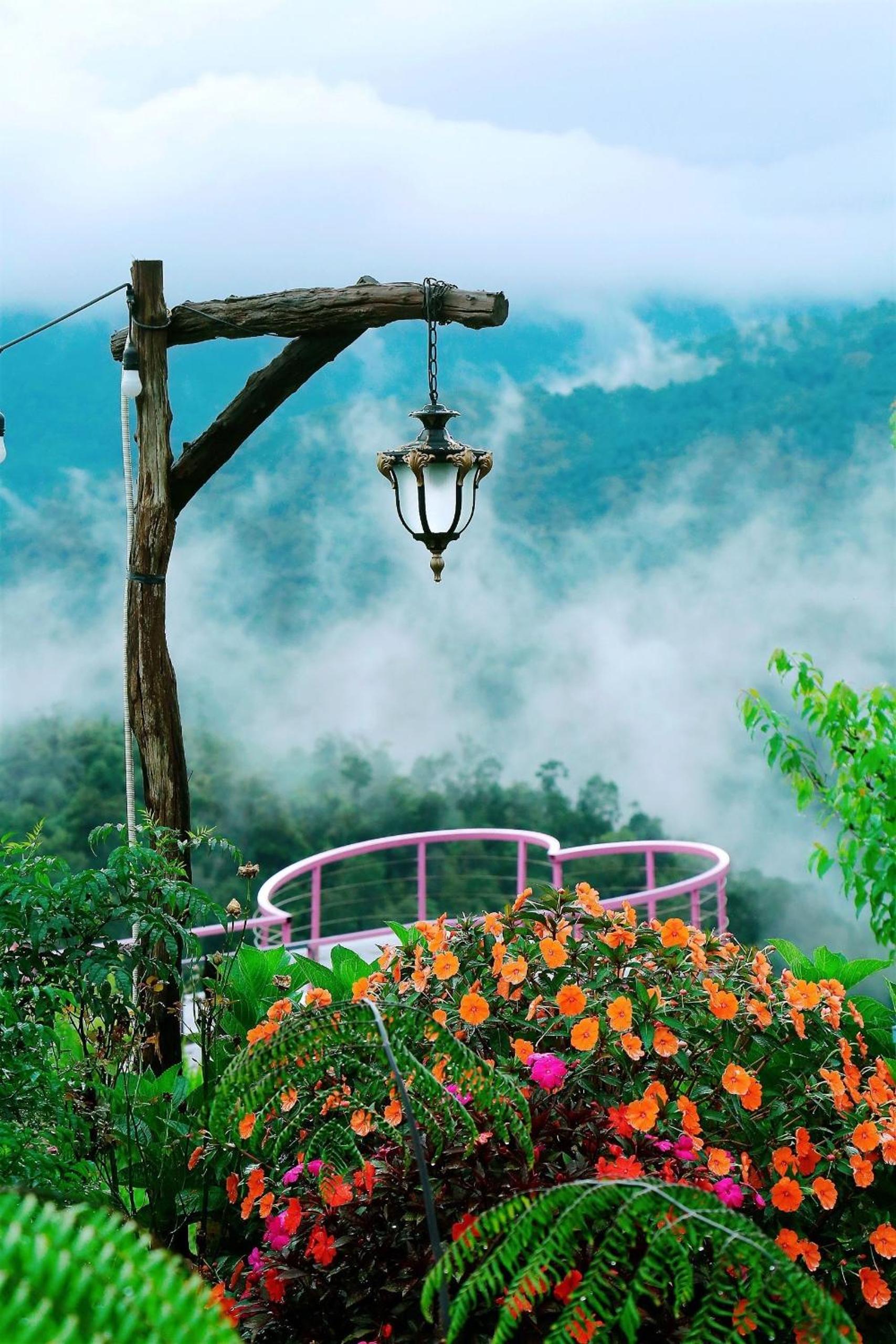 Săn Mây Coffee and Homestay Măng Đen view 5