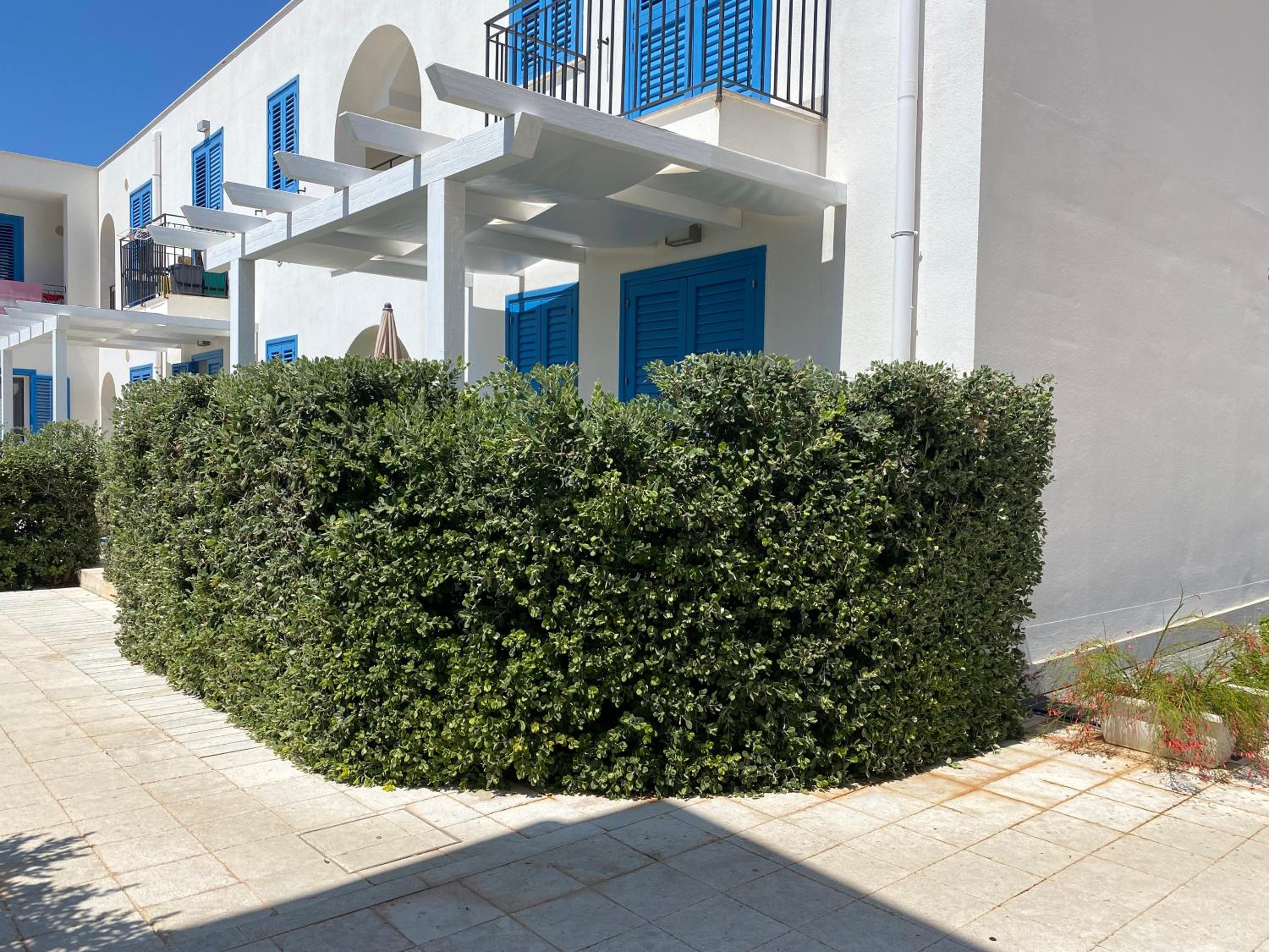 Macari35 S. V. lo Capo beach, pool, trekking view 3