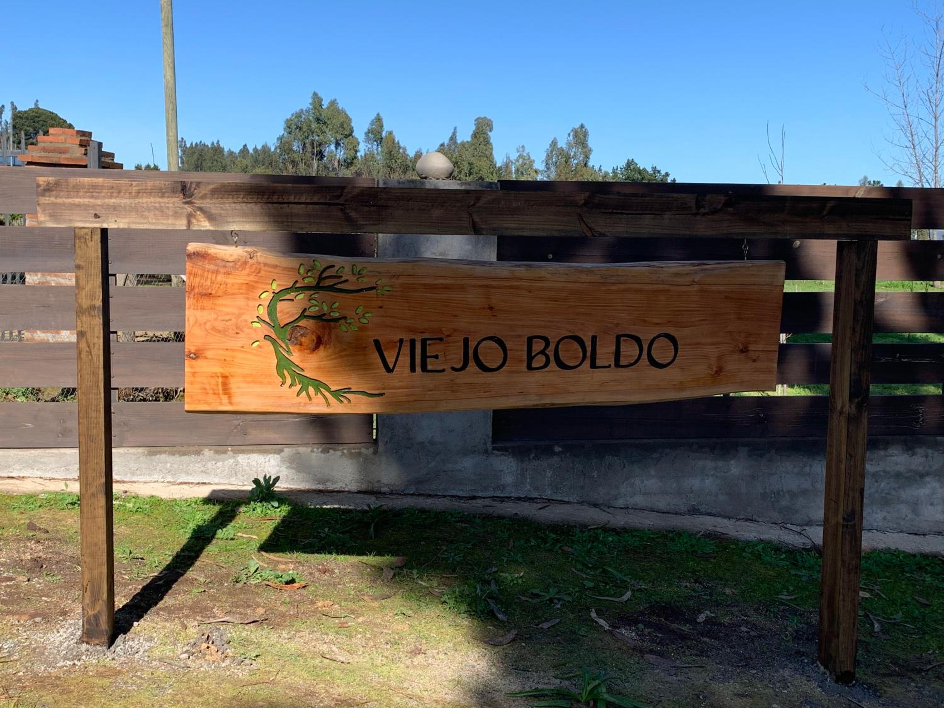 Viejoboldo_latrinchera