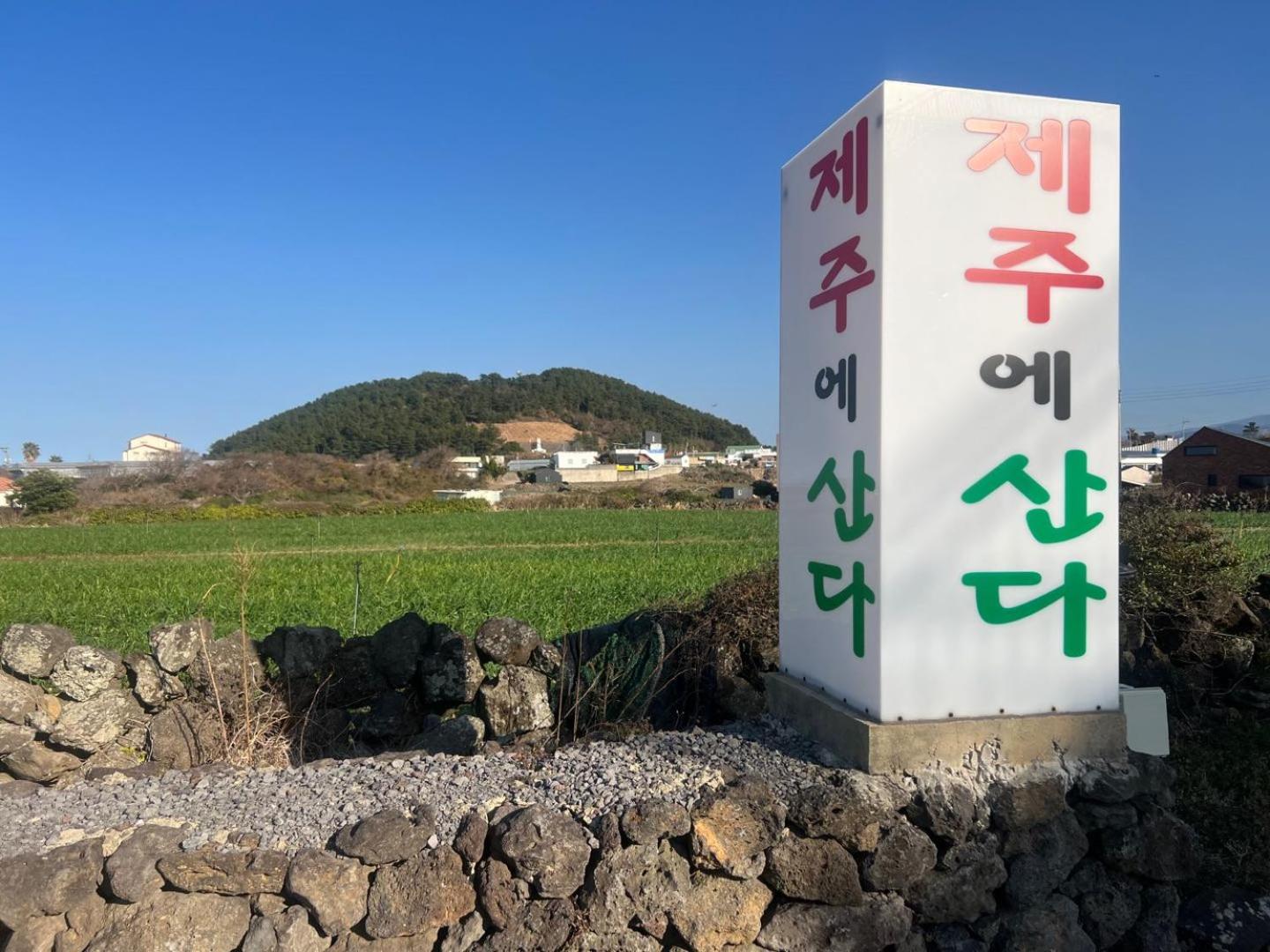Living in Jeju Island view 3