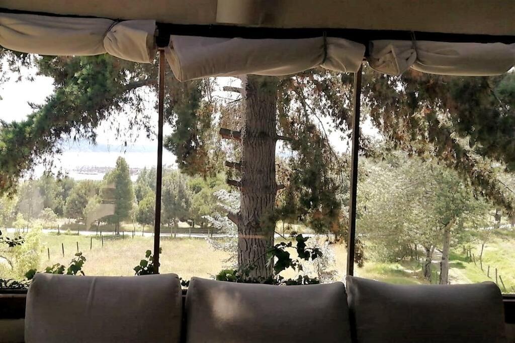 Casa con vista Lago Tomine