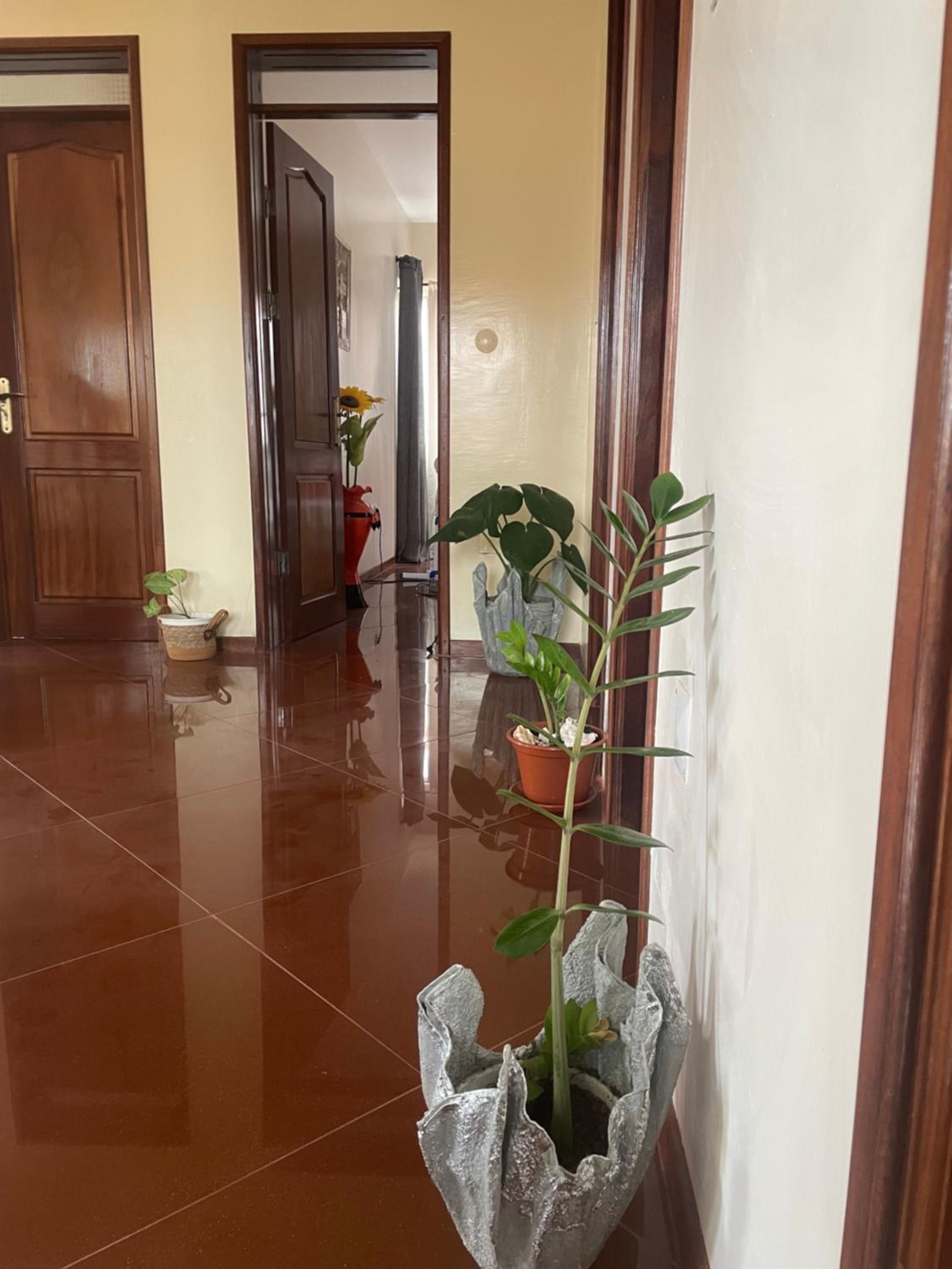 Tarrafal House