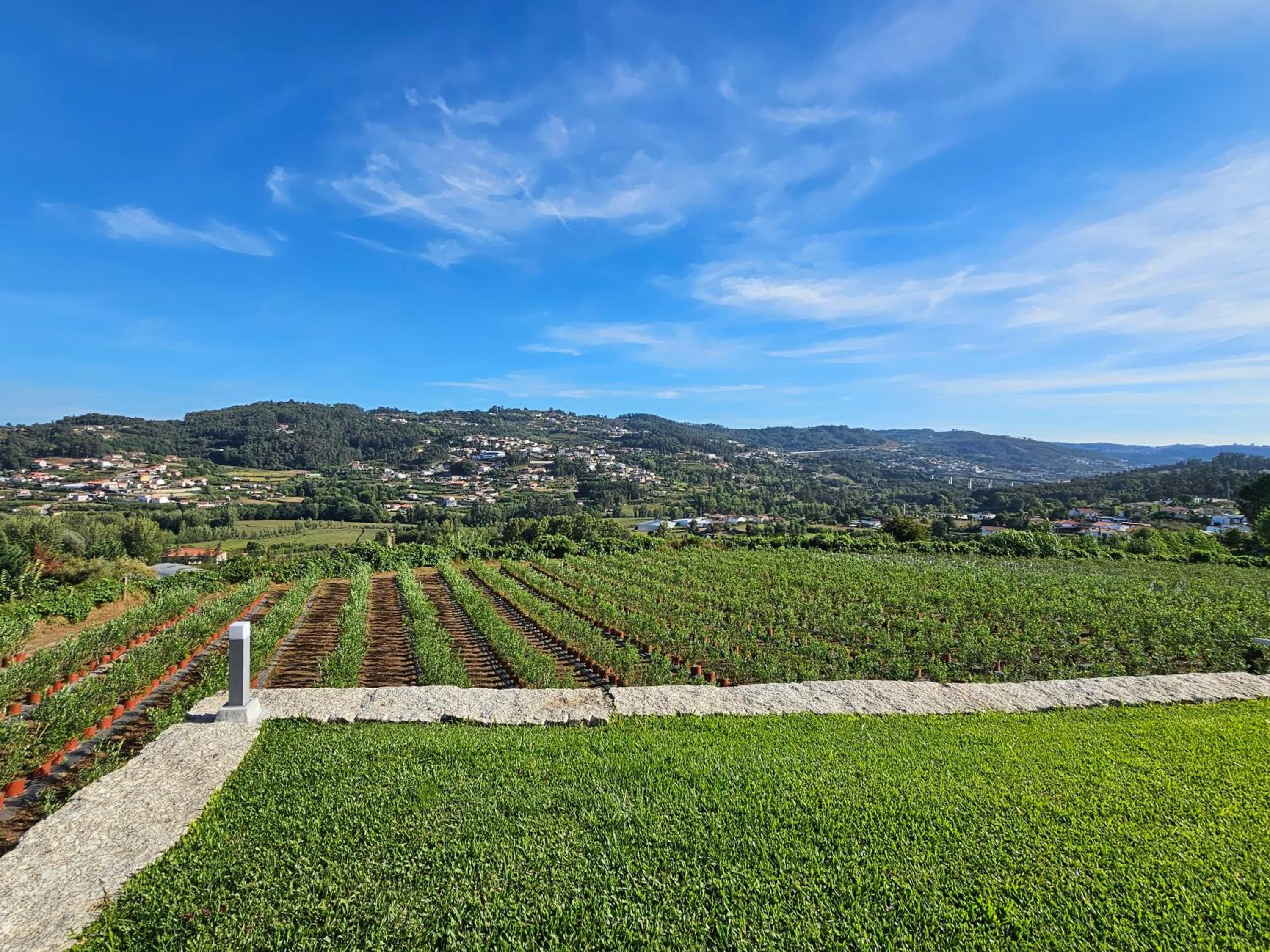 Quinta de Casal do Bairro - Casa Grande view 4